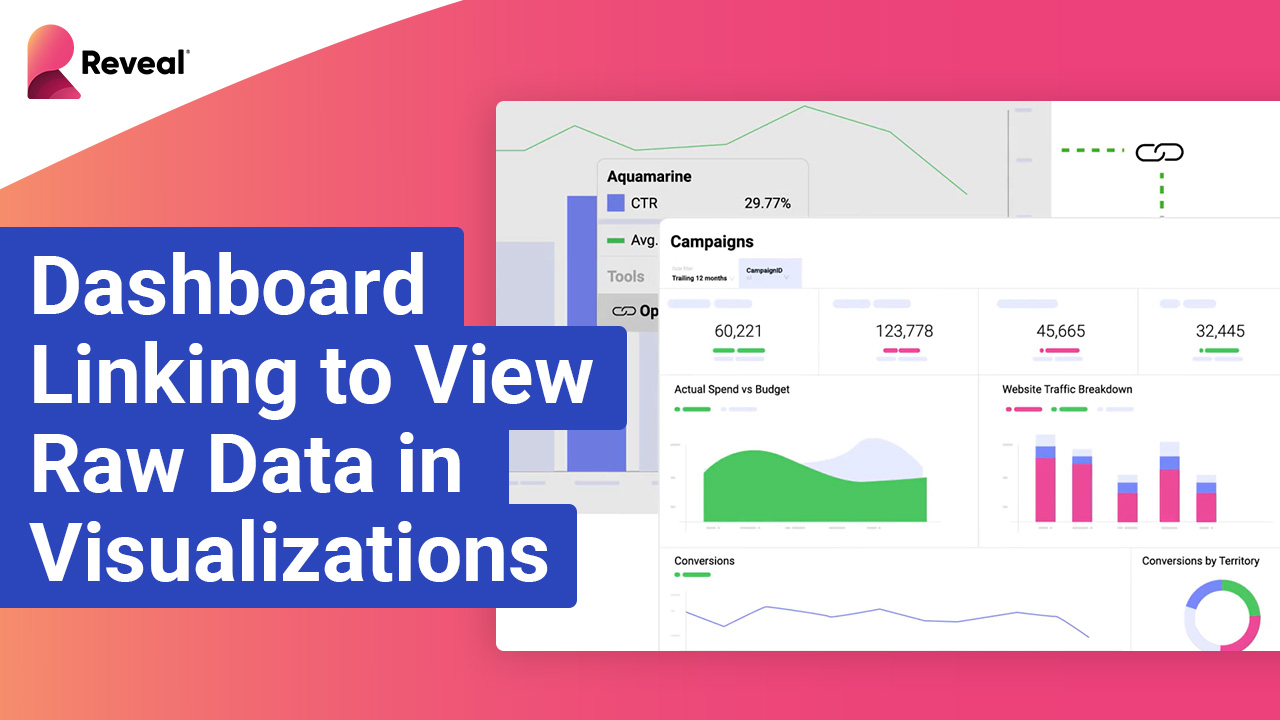 Using Dashboard Linking to View Raw Data in Visualizations - Reveal BI Tutorial